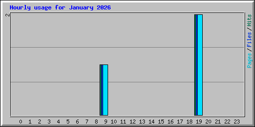 Hourly usage for January 2026